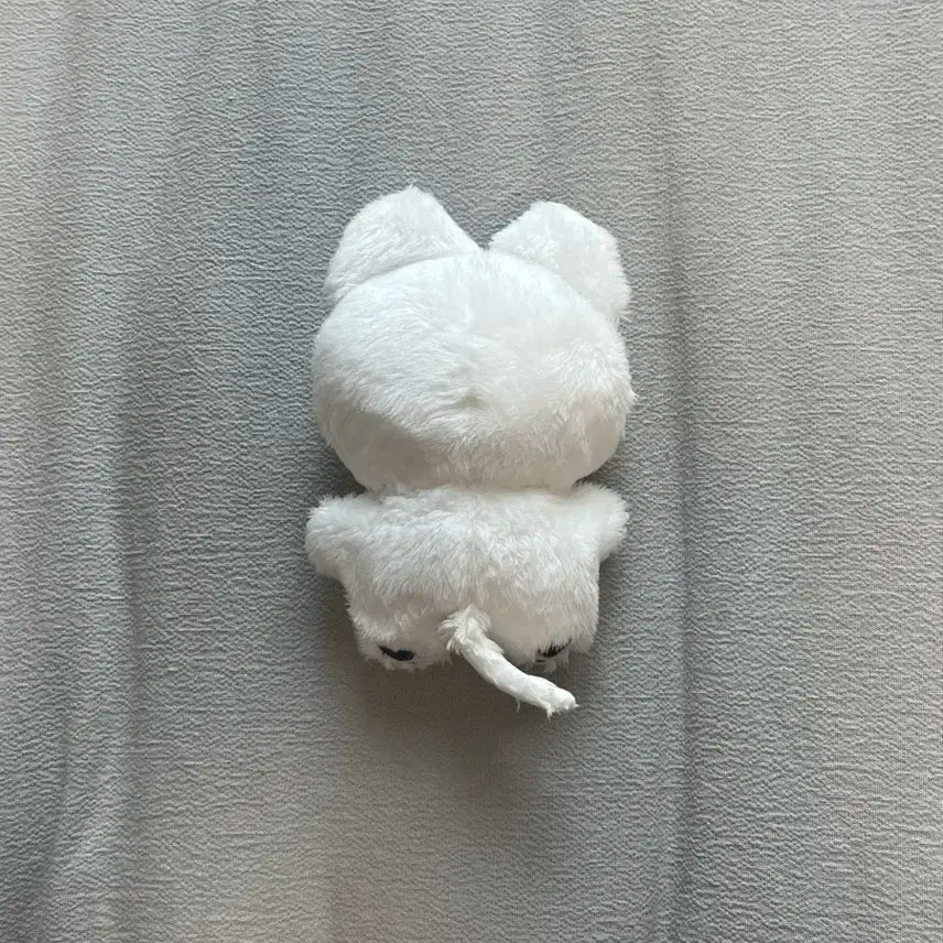 더보이즈 뉴 인형 콩짜니