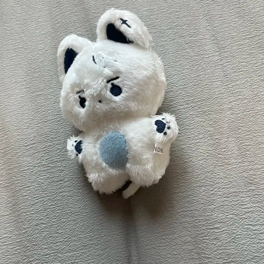 더보이즈 뉴 인형 콩짜니