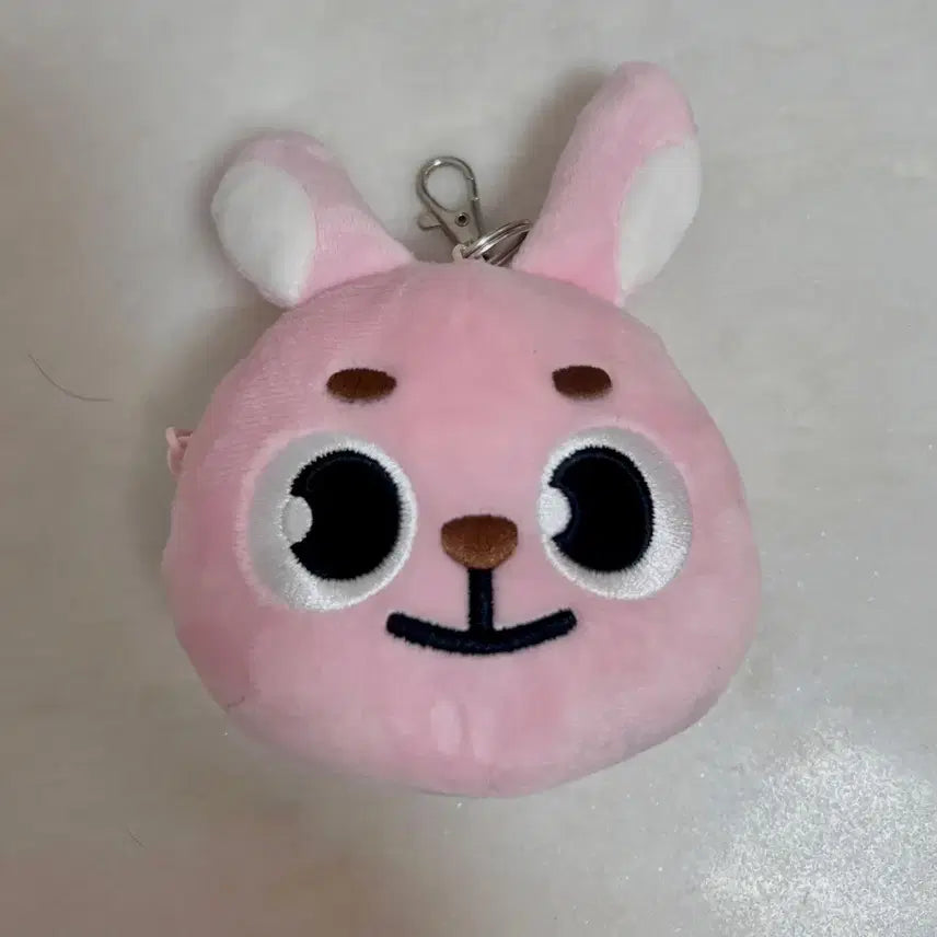 데이식스 데니멀즈 필끼 페이스 파우치 2019