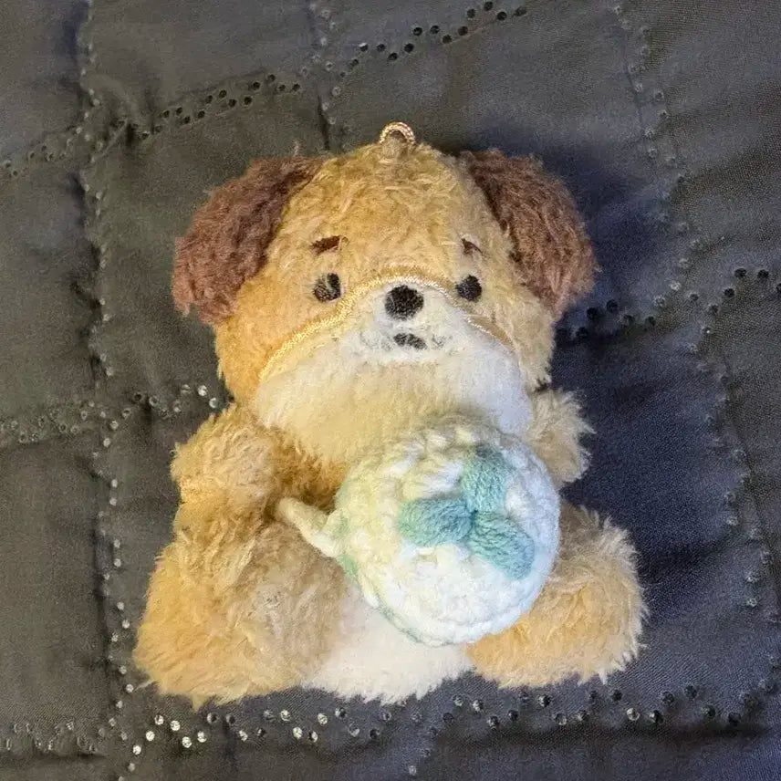 데이식스 앉은돈