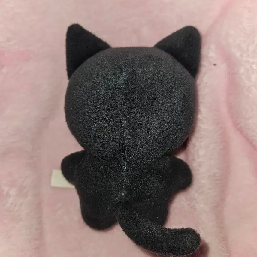카리나 직냥이 에스파