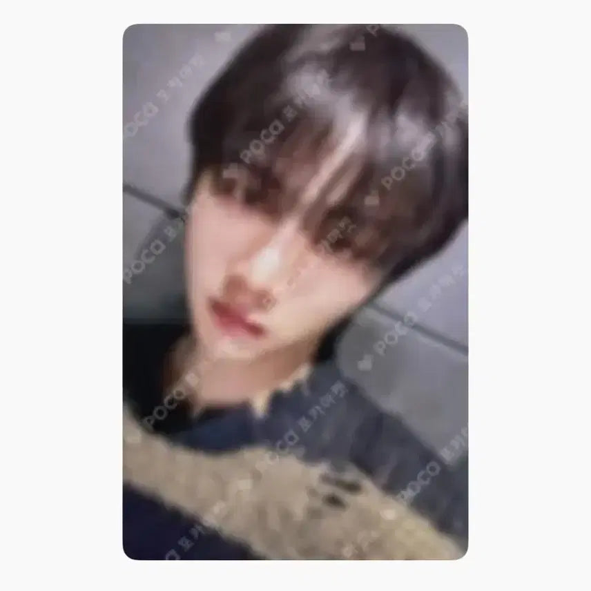 보이넥스트도어 태산 일본 콘서트 멤버십 포카