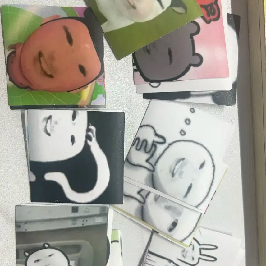 엔시티위시 사쿠야 스티커 양도