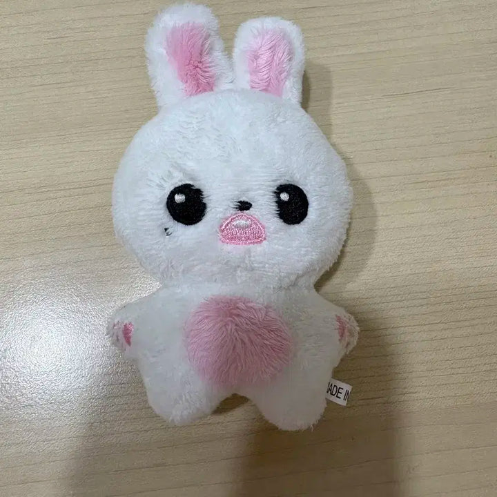 아이브 장원영 버니녕