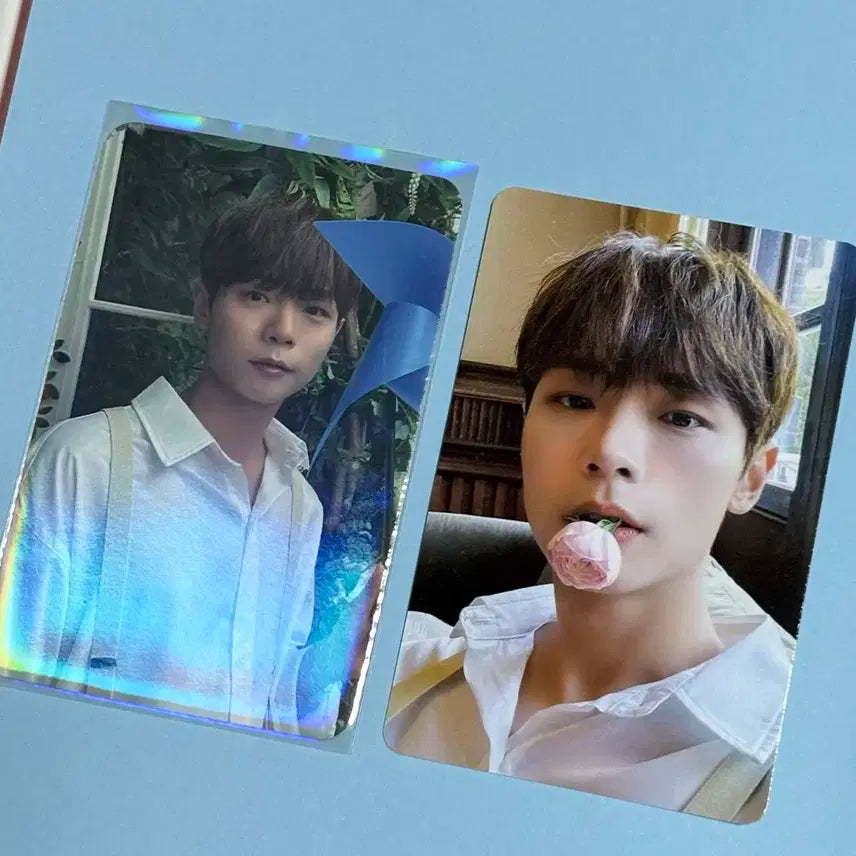 신예찬 미공포 + 루시 열 앨범 풀세트(포카 신예찬)