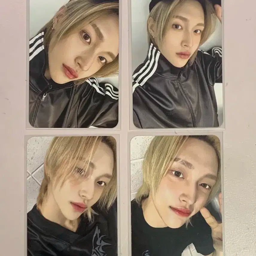 라이즈 원빈 포카 일괄