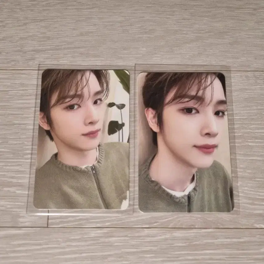 꼬마즈 성찬 포카 일괄