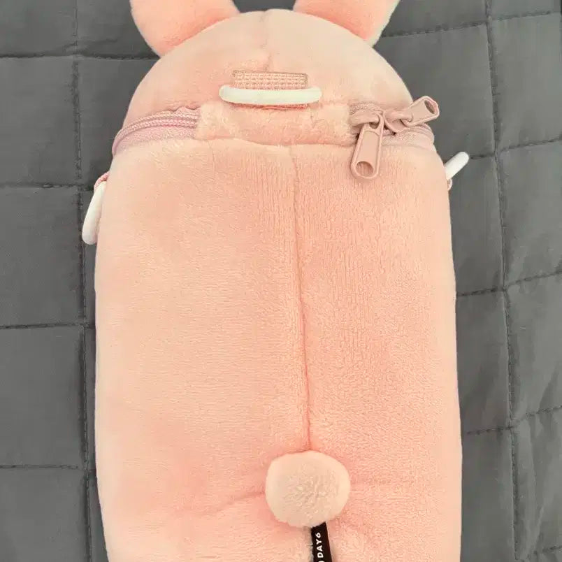 데이식스 데니멀즈 이동장 필