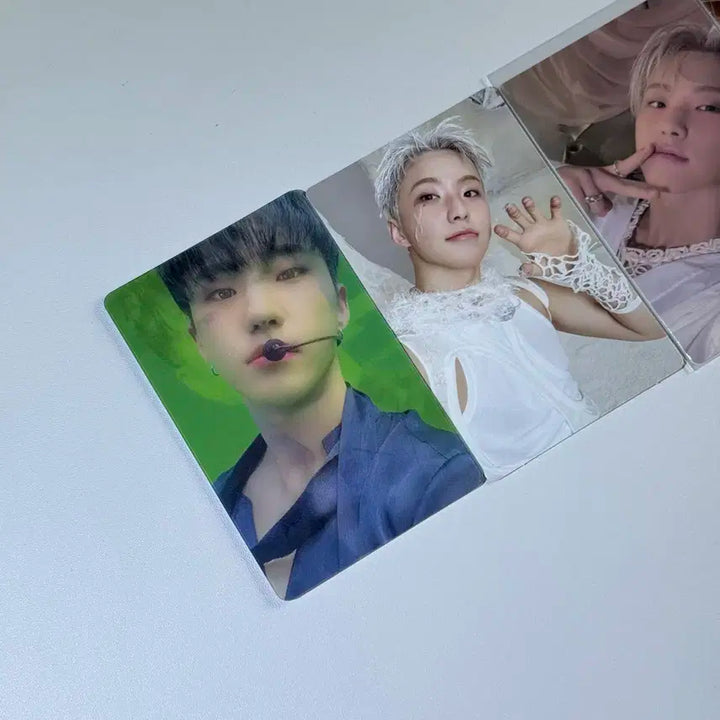 세븐틴 호시 포카 일괄 세트