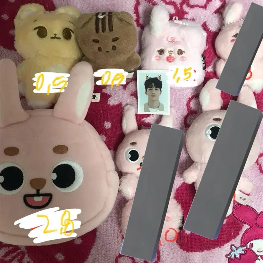 데이식스 굿즈 영케이 원필 포카 인형 데니멀즈 마데워치 커스텀