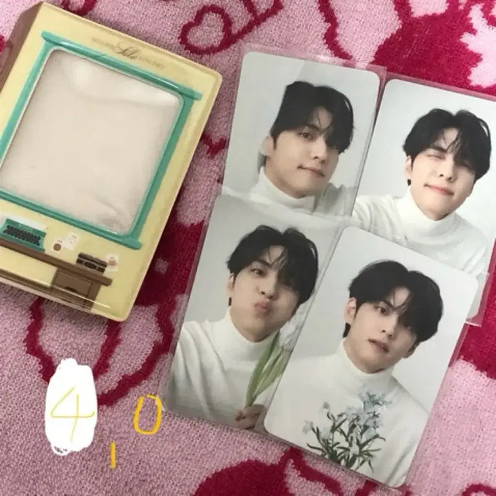 데이식스 굿즈 영케이 원필 포카 인형 데니멀즈 마데워치 커스텀