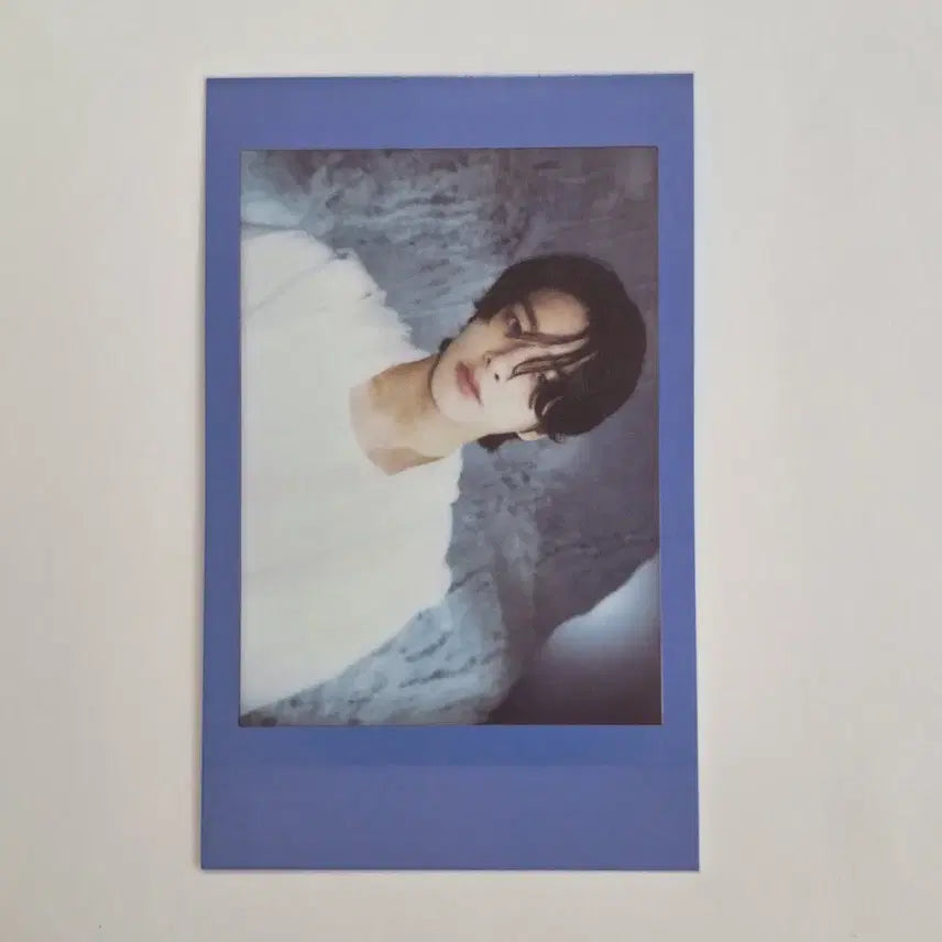 엔하이픈 데이드림 위버스 포카 제이크 폴라
