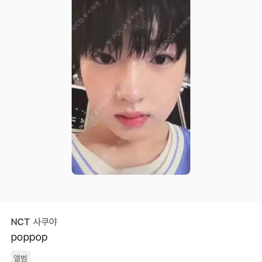 엔시티위시 사쿠야 pop 초회한정판 포카