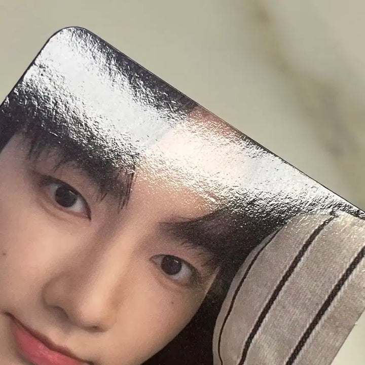 제베원 장하오 포카 일괄판매