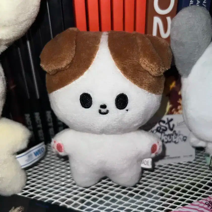 엔시티 127 정우 10cm 인형 쩡토리 양도