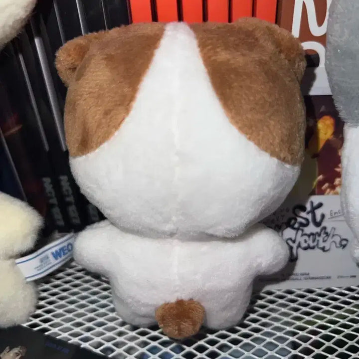 엔시티 127 정우 10cm 인형 쩡토리 양도