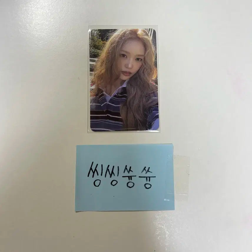 이즈나 정세비 포카