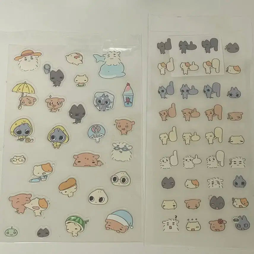 박사님 보넥도 스티커