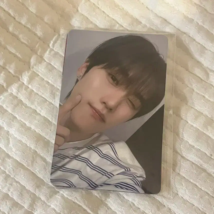 더보이즈 막콘 입장포카