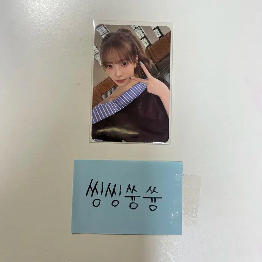 이즈나 코코 포카