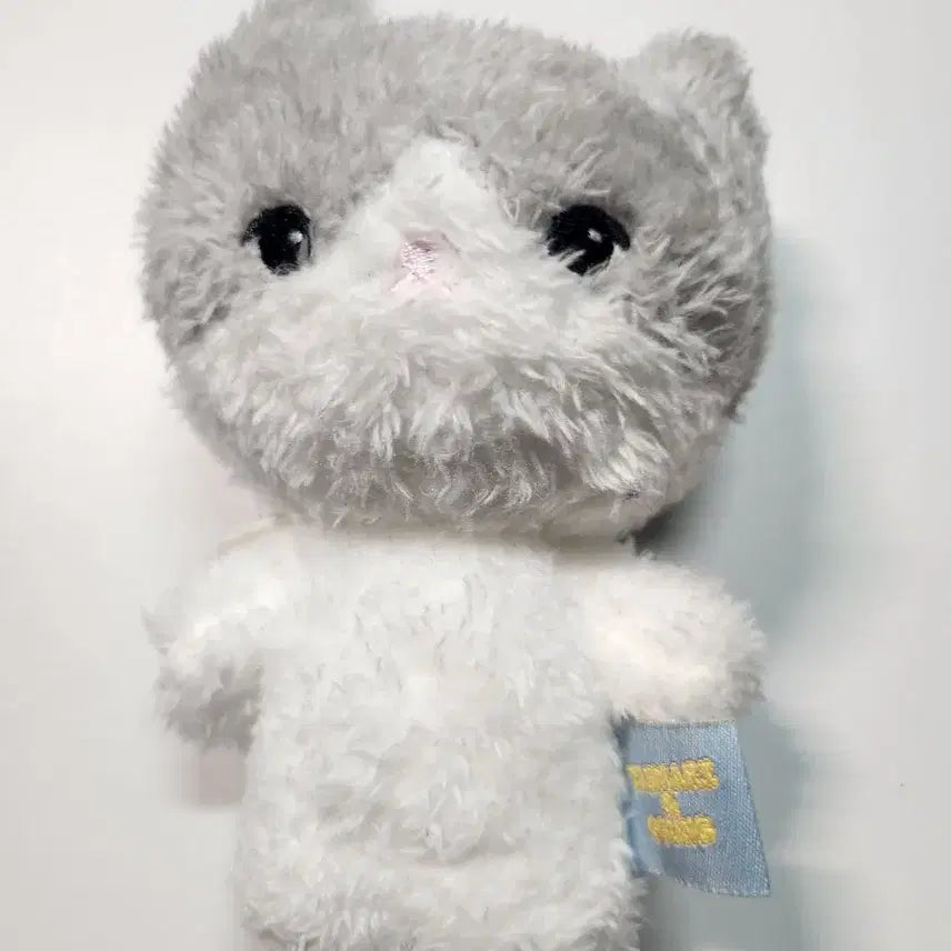 탬아리 꿍이 세트로 팝니다(샤이니 태민 공식 인형 일괄,사용감 많음)