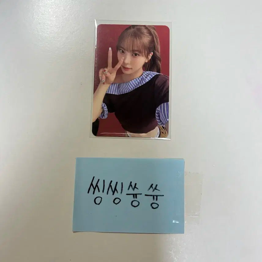 이즈나 코코 포카