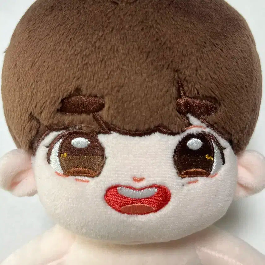 세븐틴 도겸 인형 홀리도 및 인형옷 일괄 양도