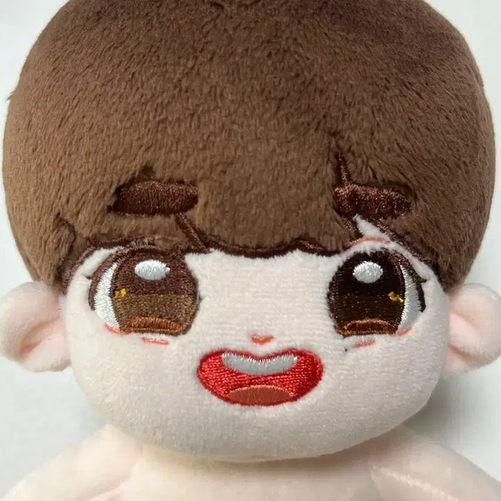 세븐틴 도겸 인형 홀리도 및 인형옷 일괄 양도
