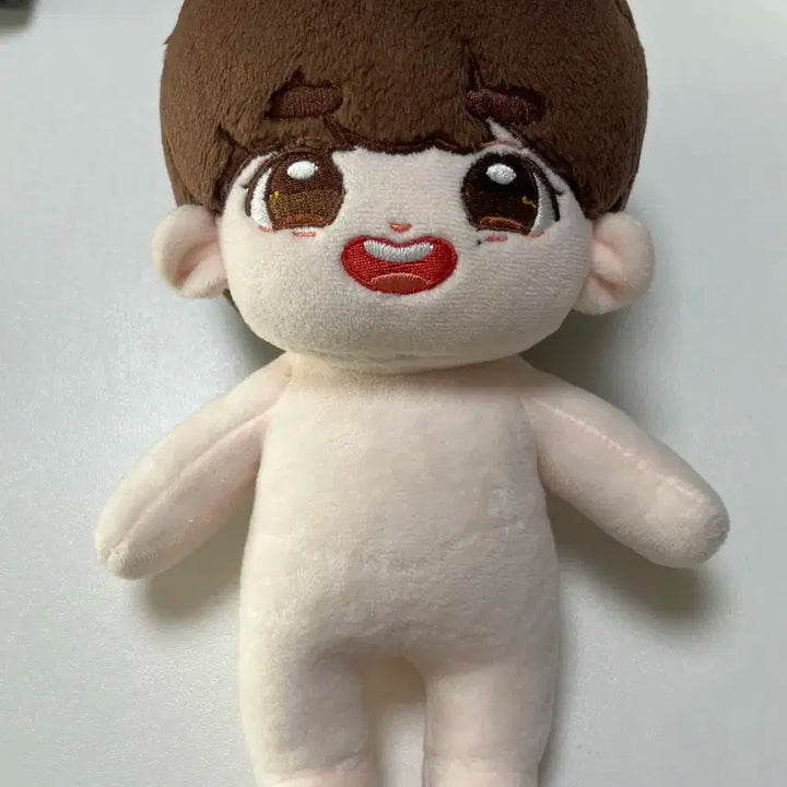 세븐틴 도겸 인형 홀리도 및 인형옷 일괄 양도