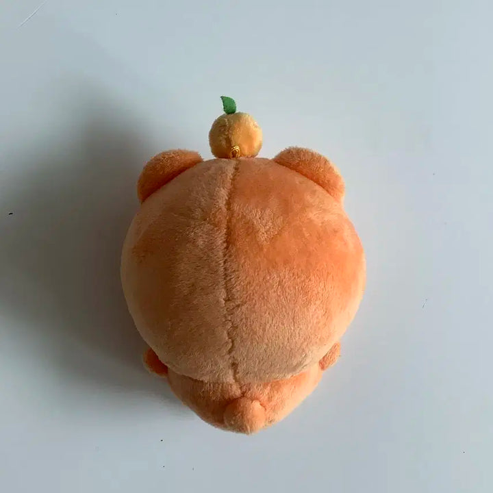 귤삐 부승관인형 세븐틴인형