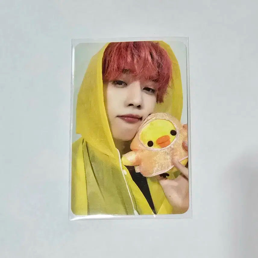 더보이즈 선우 우비보이즈 미공포 양도