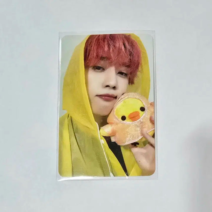 더보이즈 선우 우비보이즈 미공포 양도