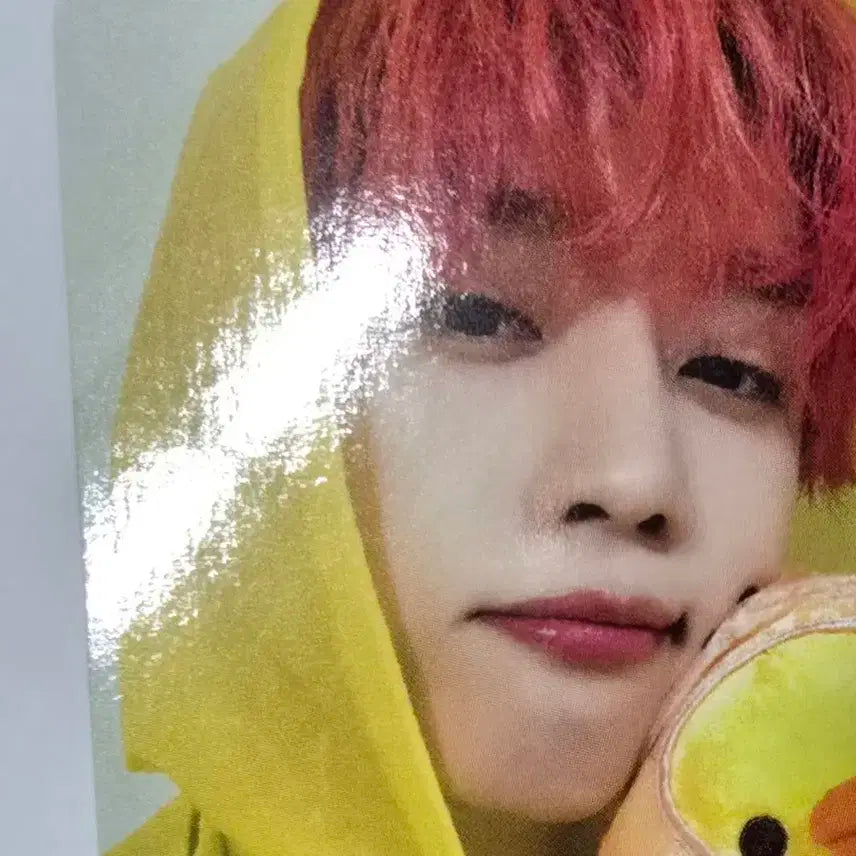 더보이즈 선우 우비보이즈 미공포 양도