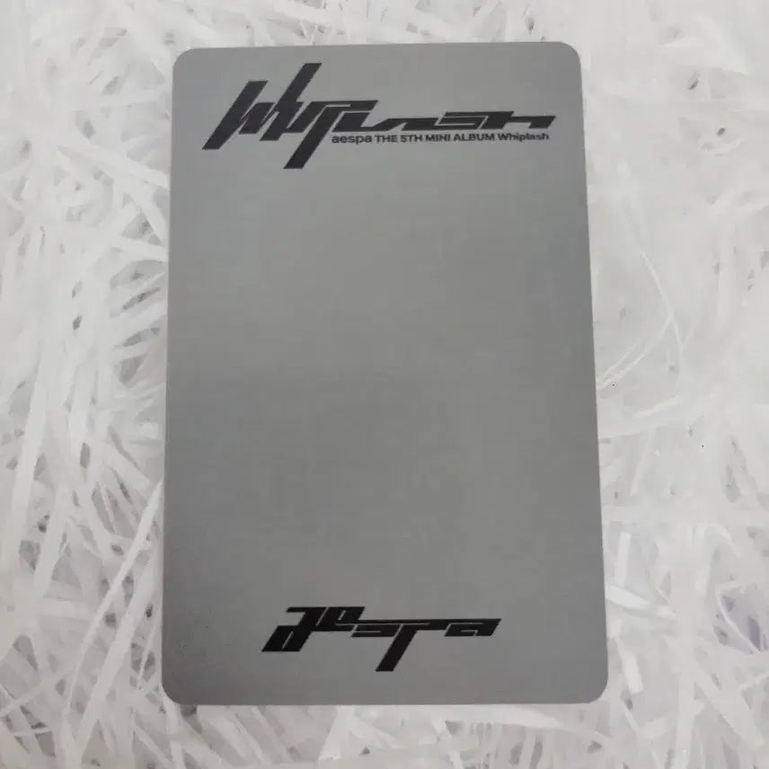 에스파 위플래시 워너뮤직 스토어 카리나 포카 양도