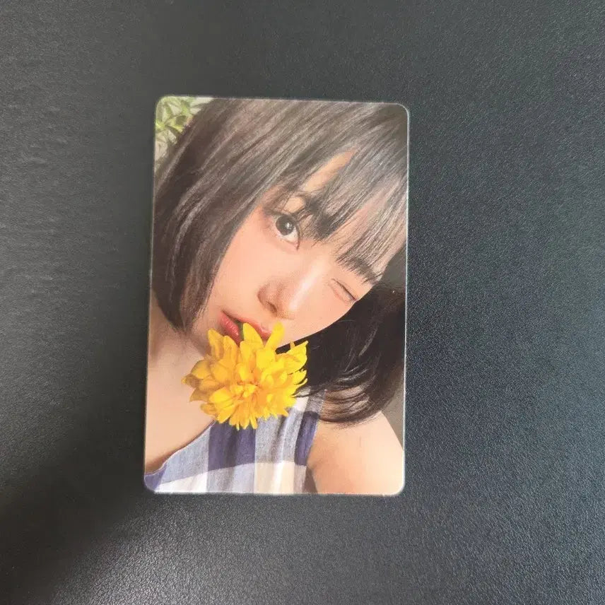 QWER 가짜 아이돌 시연 포토카드