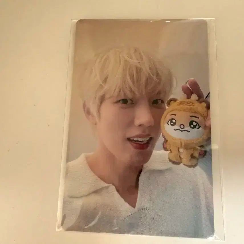 인피니트 피릿츠 포카