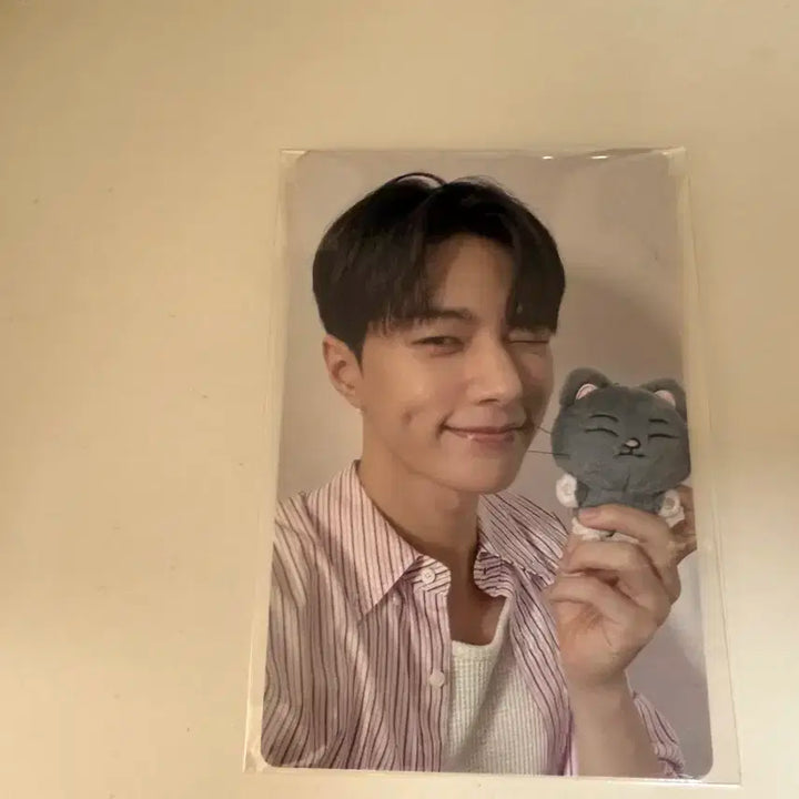 인피니트 피릿츠 포카