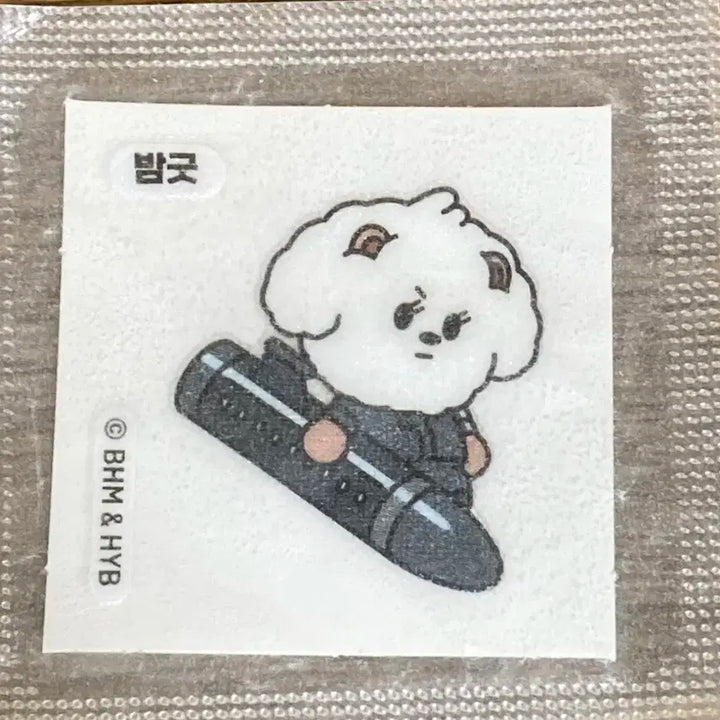 투바투 범규 파오이 파스테 럭드 / 별모아 밤긋 띠부씰