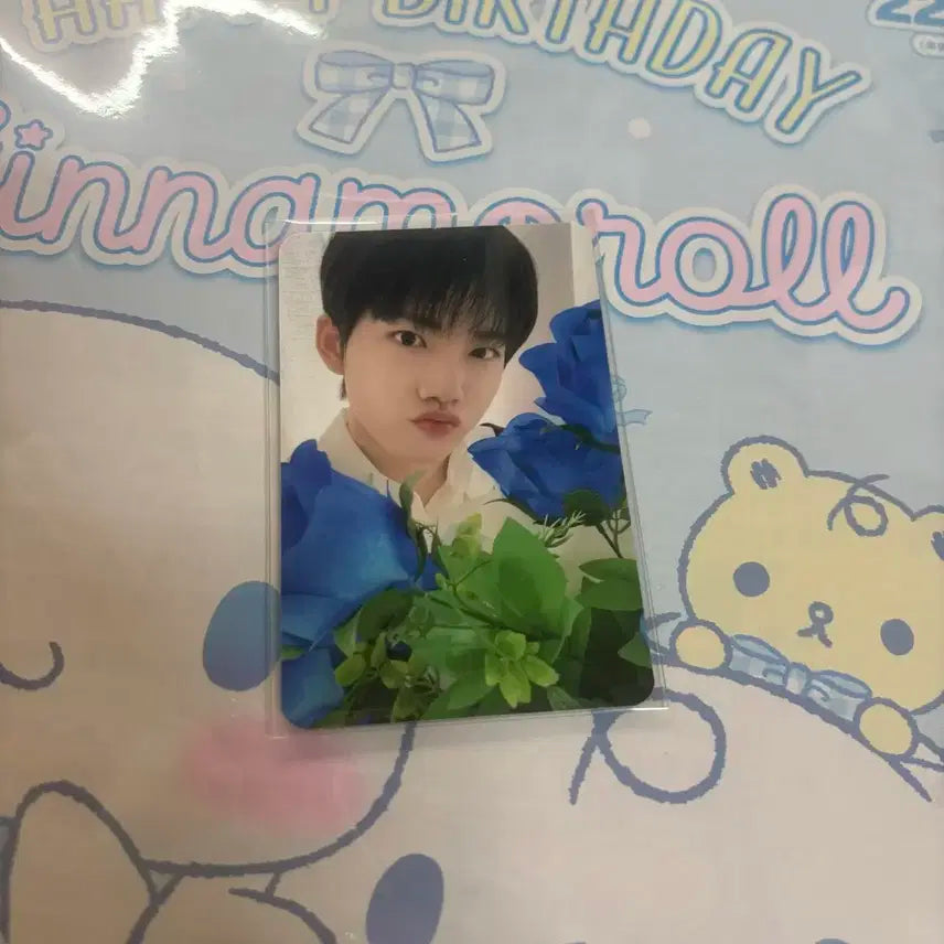 트레저 나이트가든 스트랩키트 준규 포카