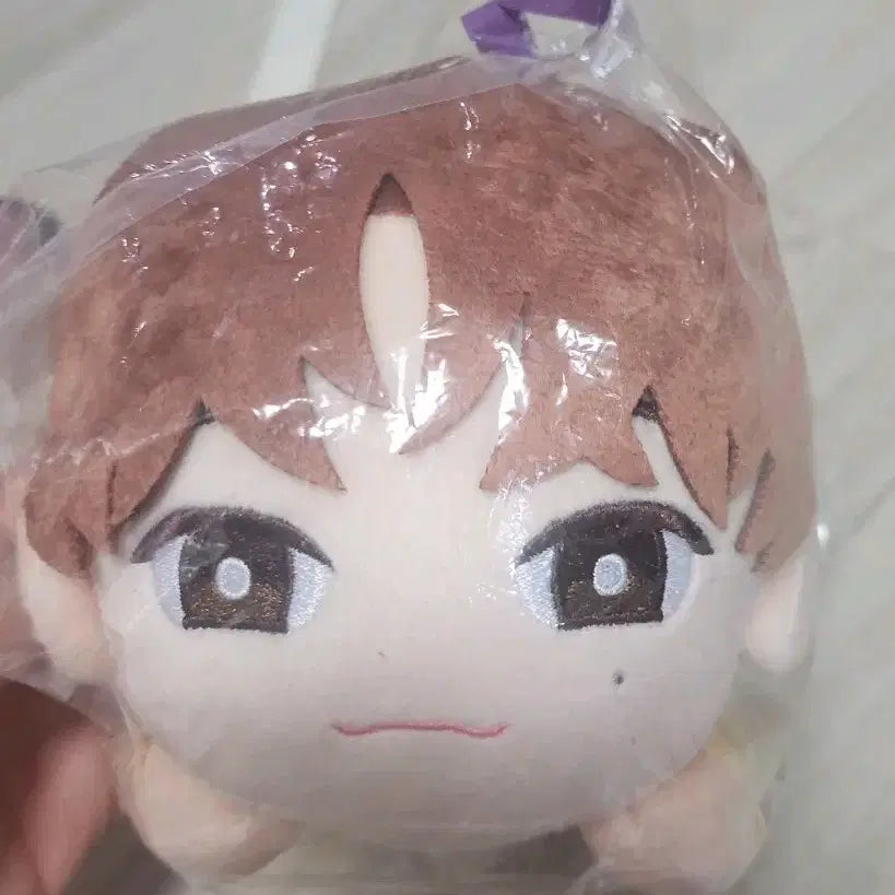 세븐틴 쁘띠틴 petiteen 인형