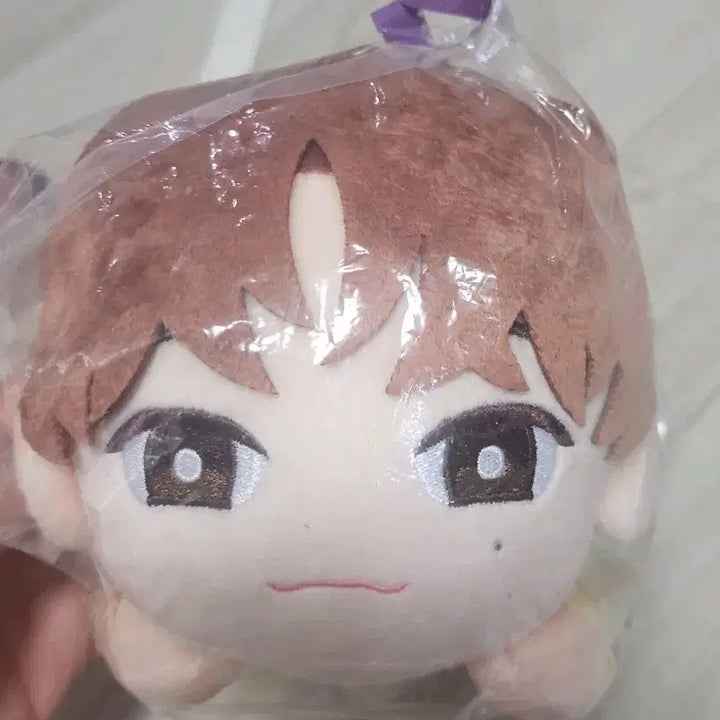 세븐틴 쁘띠틴 petiteen 인형