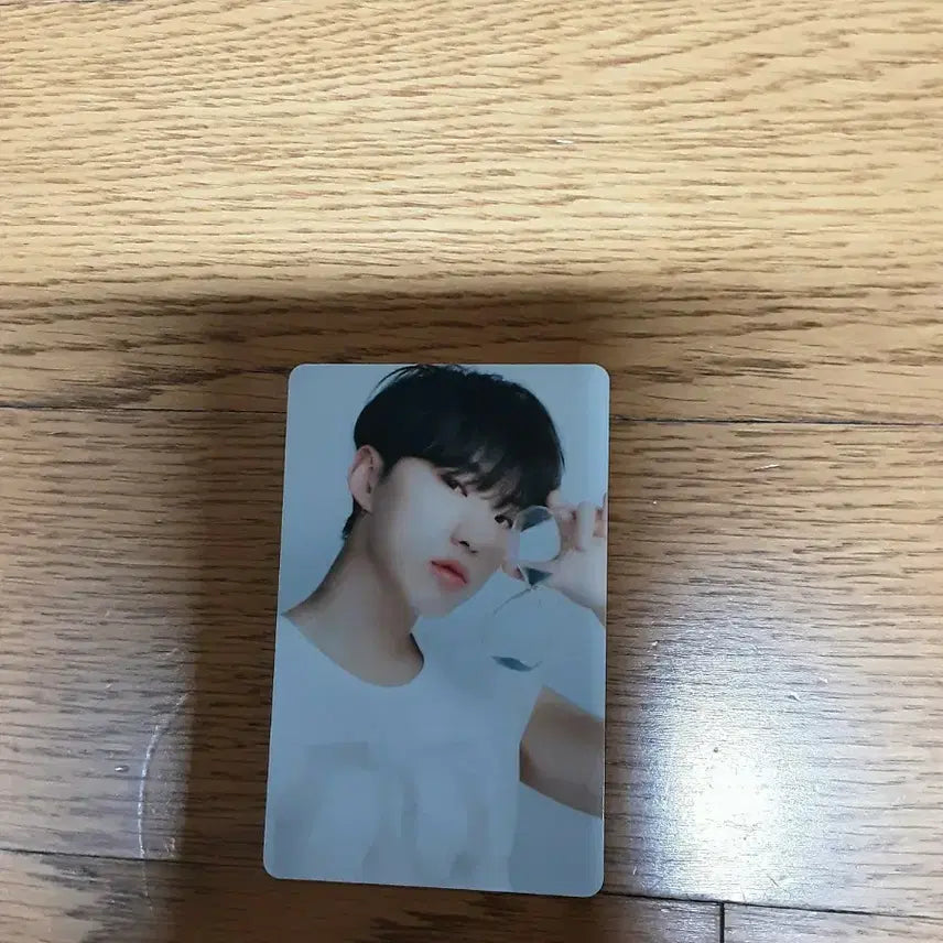 세븐틴 마에스트로 굿즈 포카