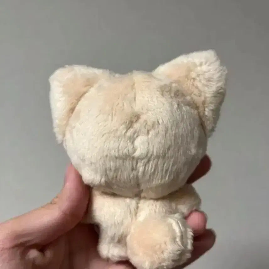 스키즈 아이엔 인형 폭양이 양도 스키주