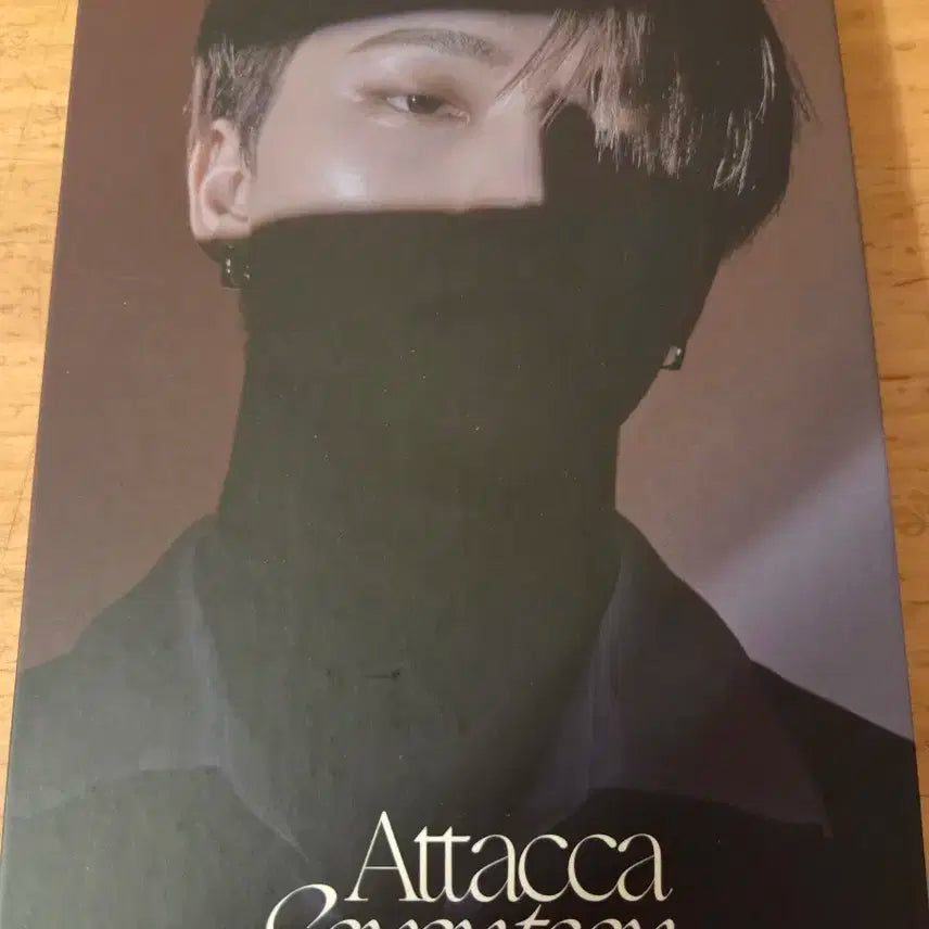 세븐틴 아타카 디노