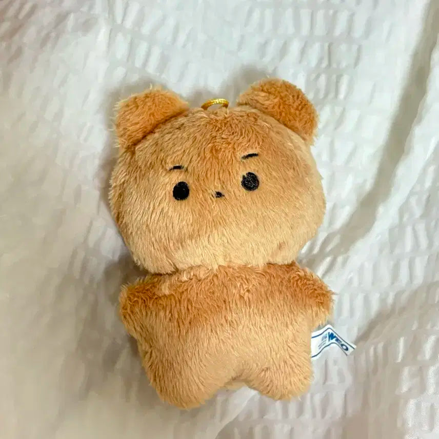 더보이즈 현재 인형 달곰이 양도