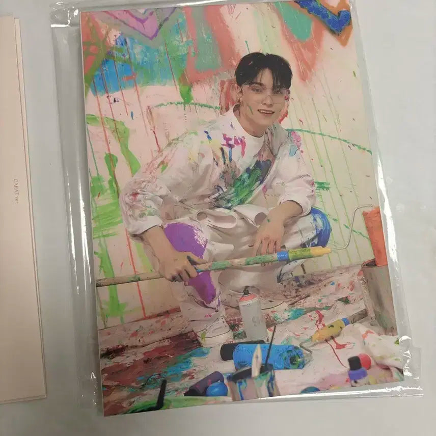 세븐틴 캐럿반