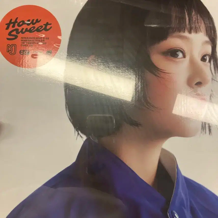 뉴진스 하우스윗 하니