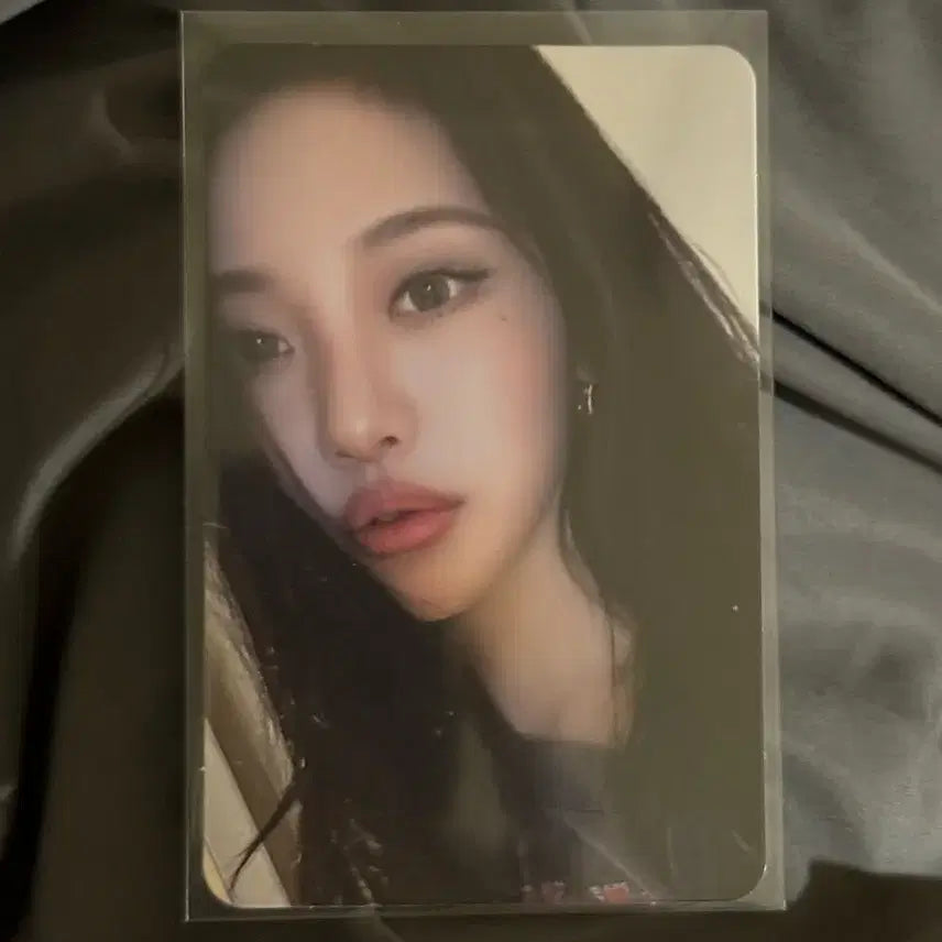 에스파 닝닝포카 일괄