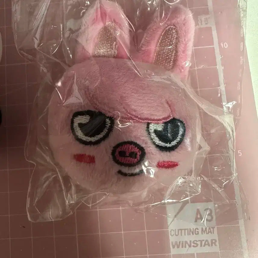 돼끼 스트레이키즈 창빈 인형