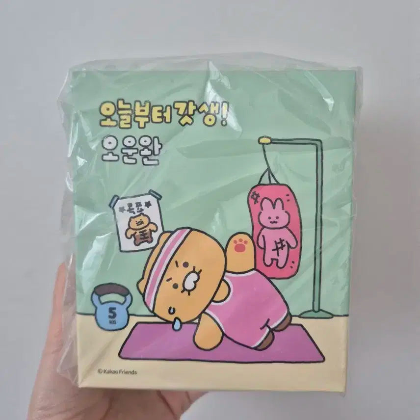 춘식이 오운완 피규어 미개봉
